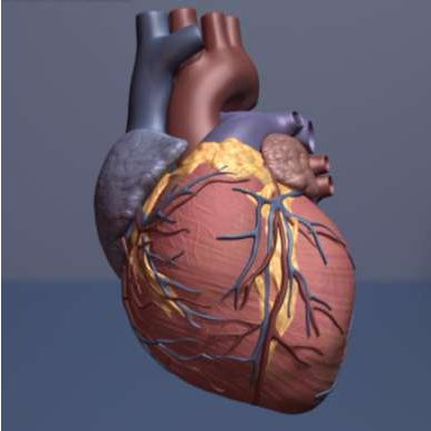 心脏病遇上中风会发生什么？