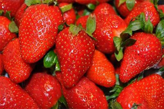 Sci Rep：草莓可以治疗乳腺癌吗？