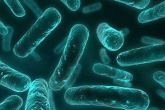什么是超级细菌？