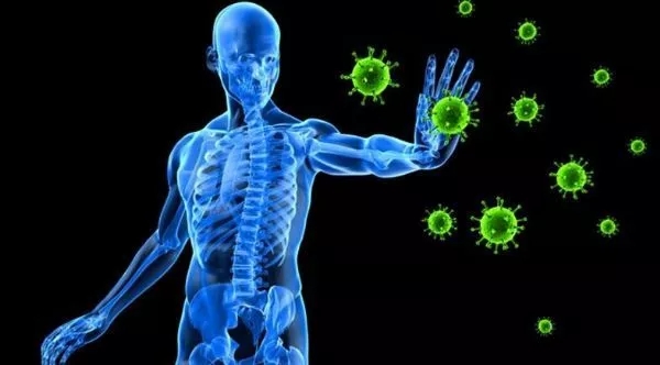 探寻人类机体免疫系统的奥秘！